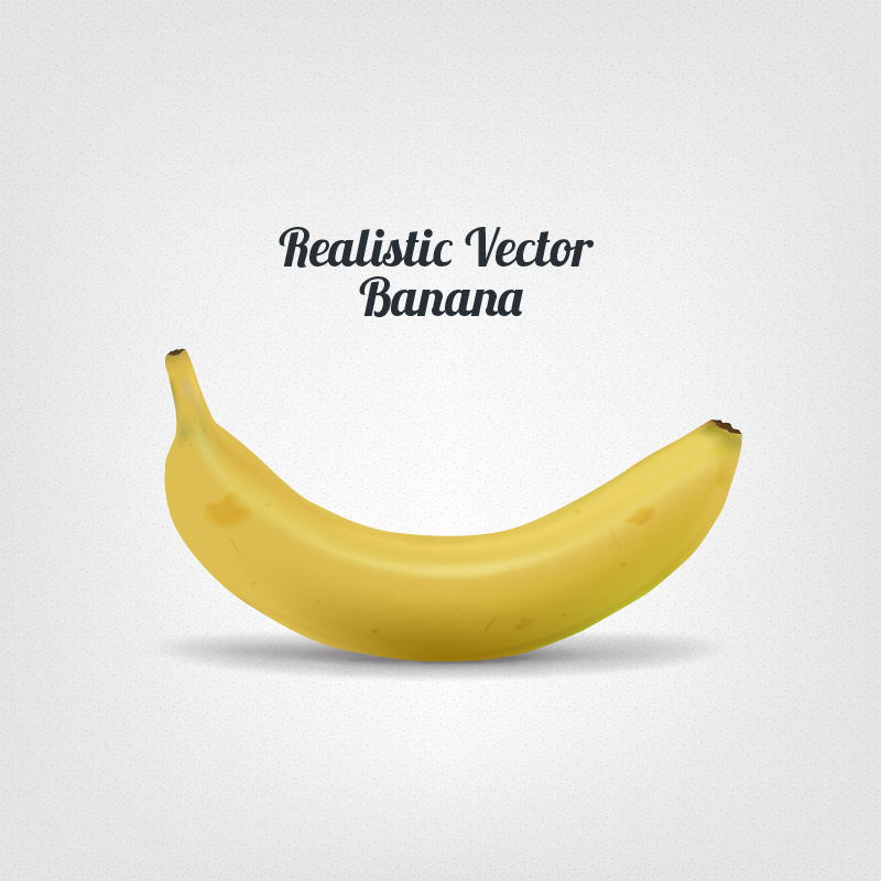 Realistic Vector Banana Photoshop brush