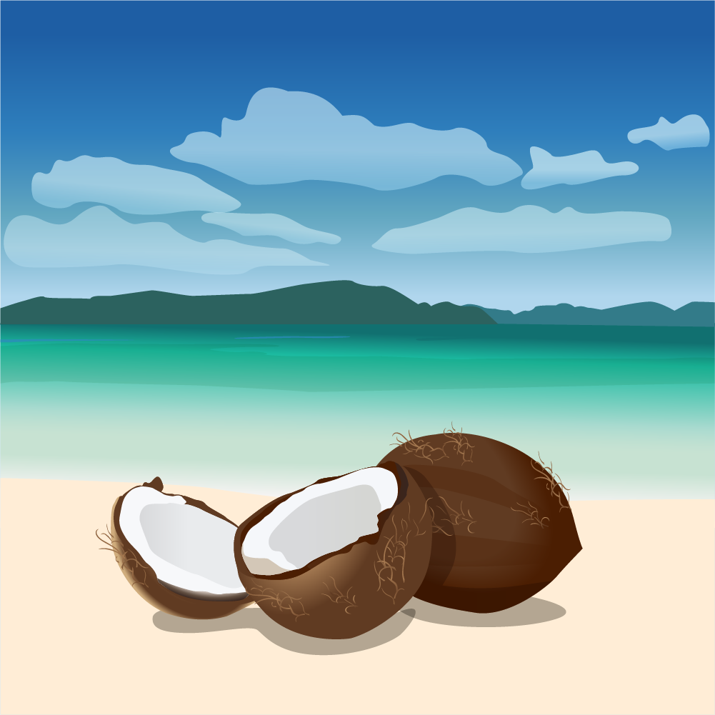 Coconuts Photoshop brush
