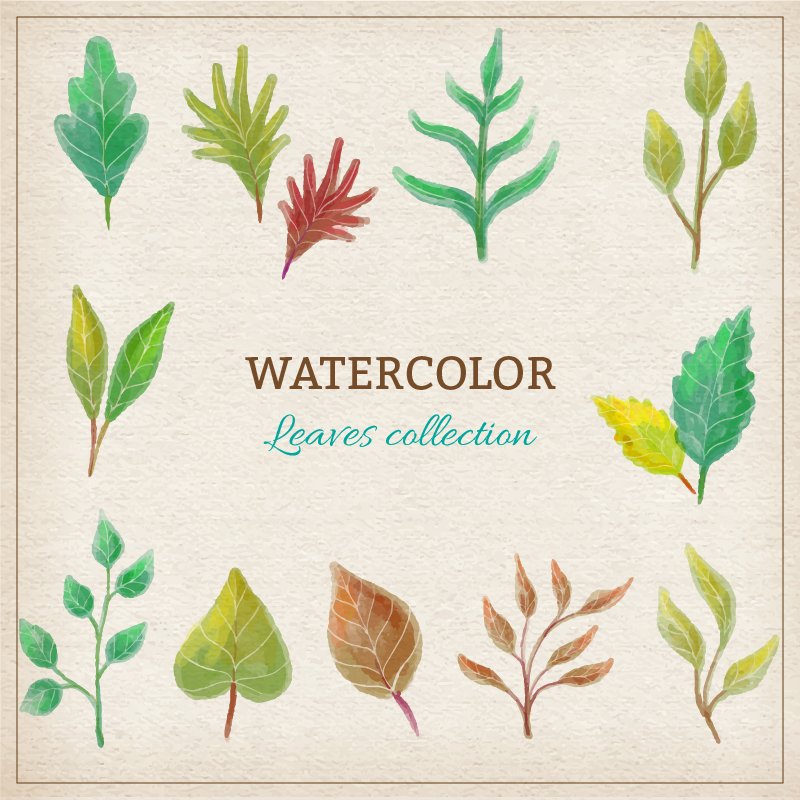 Watercolor leaves collection Photoshop brush